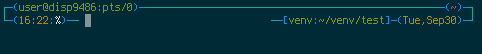 [screenshot showing virtual environment info]